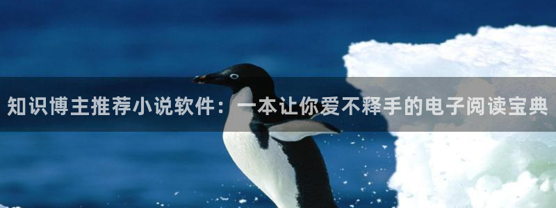 起点小说防盗